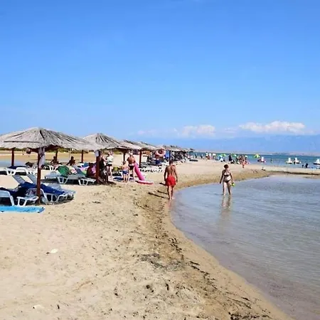 Palm Tree 1 Apartment