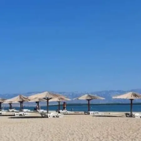 Lejlighed Palm Tree 1