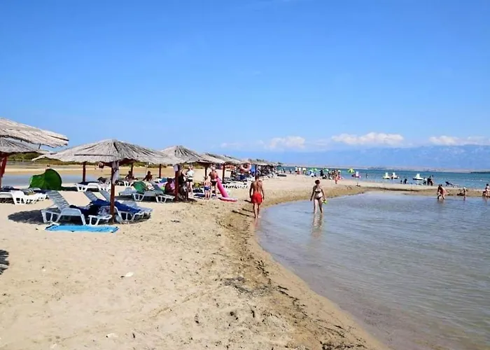 Palm Tree 1 Apartment