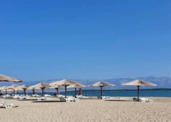 דירה Palm Tree 1