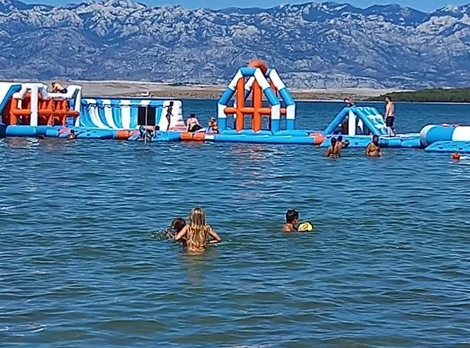 Palm Tree 1 דירה *