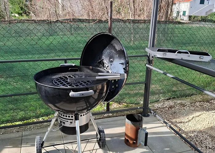 Apartment Palm Tree 1 Nin